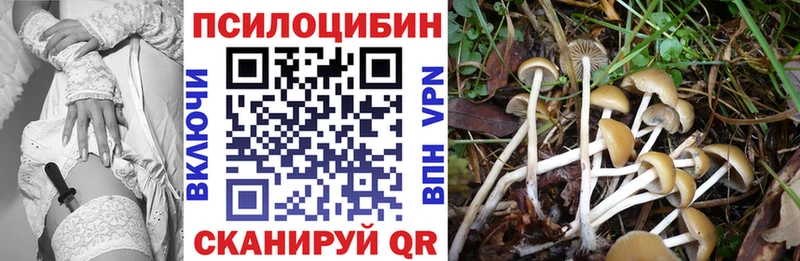 Галлюциногенные грибы MAGIC MUSHROOMS  omg ONION  Кострома 